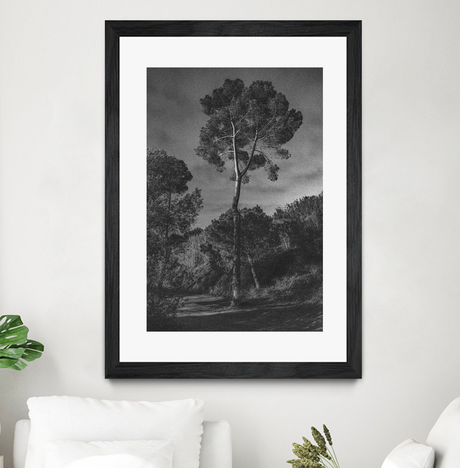 Arbores  by Pepa on GIANT ART - black botanical framed canvas