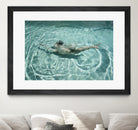 Abstraction by Mel on GIANT ART - photography nude