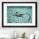 Abstraction by Mel on GIANT ART - photography nude