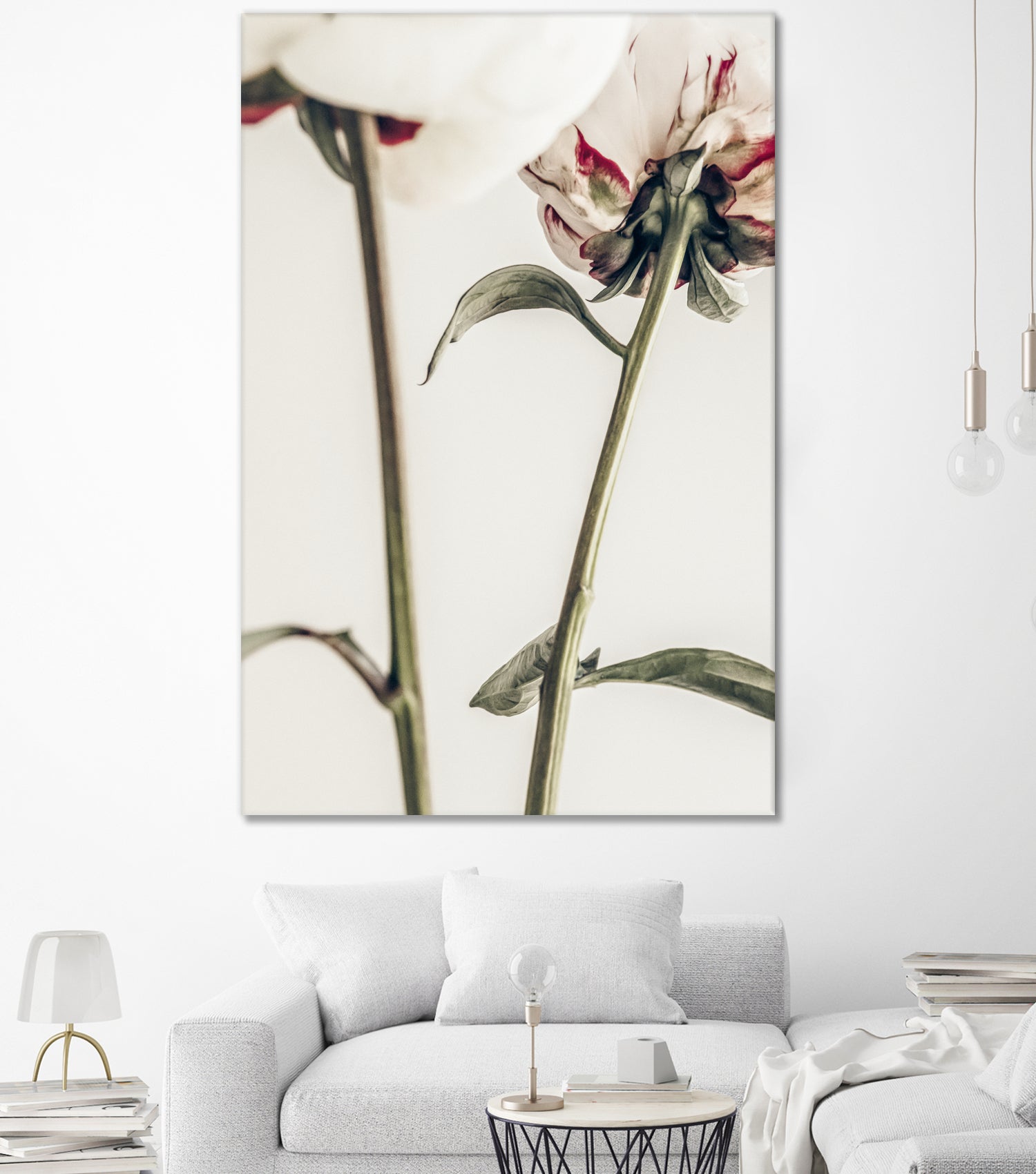 Peony 01 by Pictufy on GIANT ART - still life flower