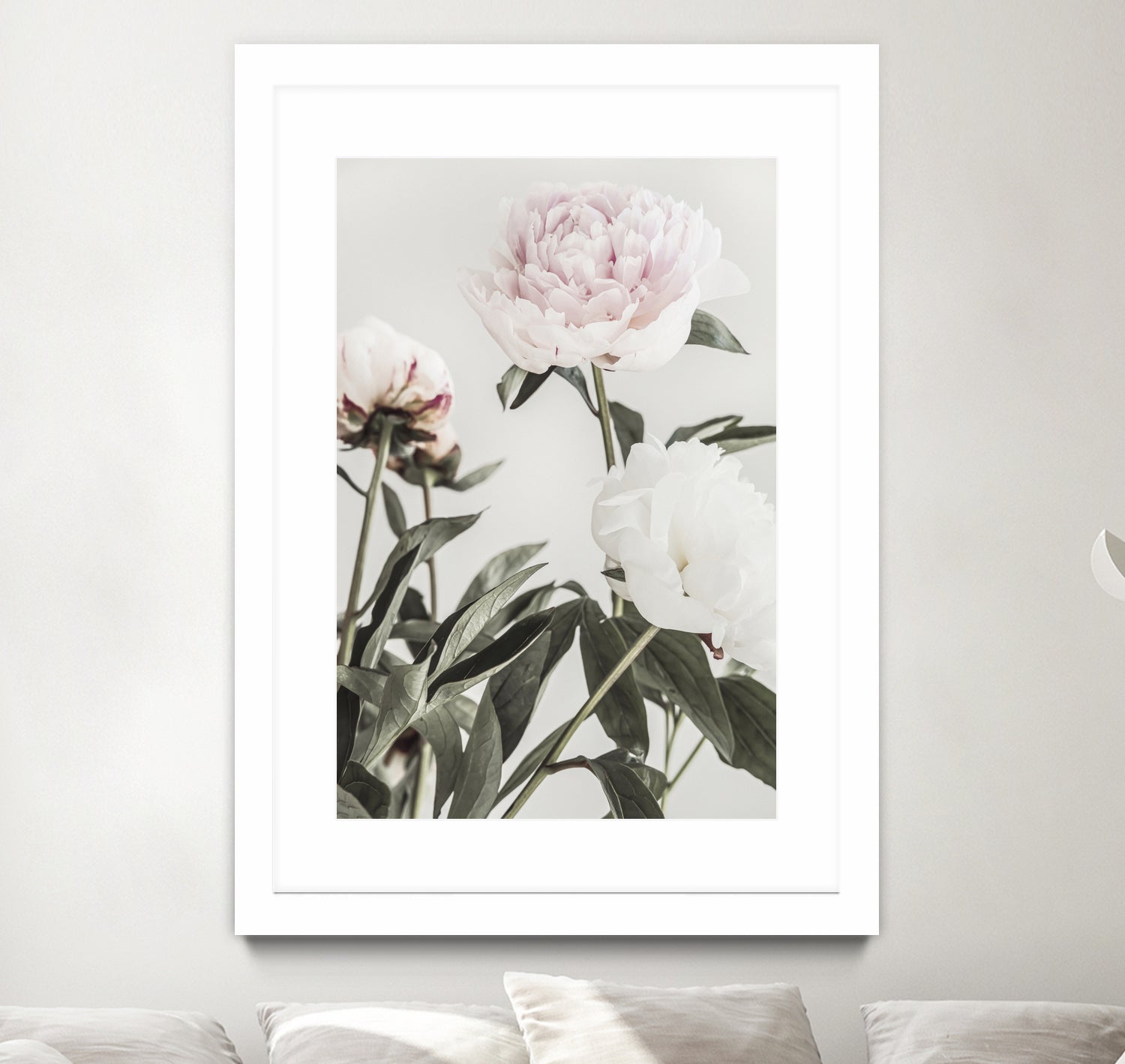 Peony 04 by Pictufy on GIANT ART - still life flower