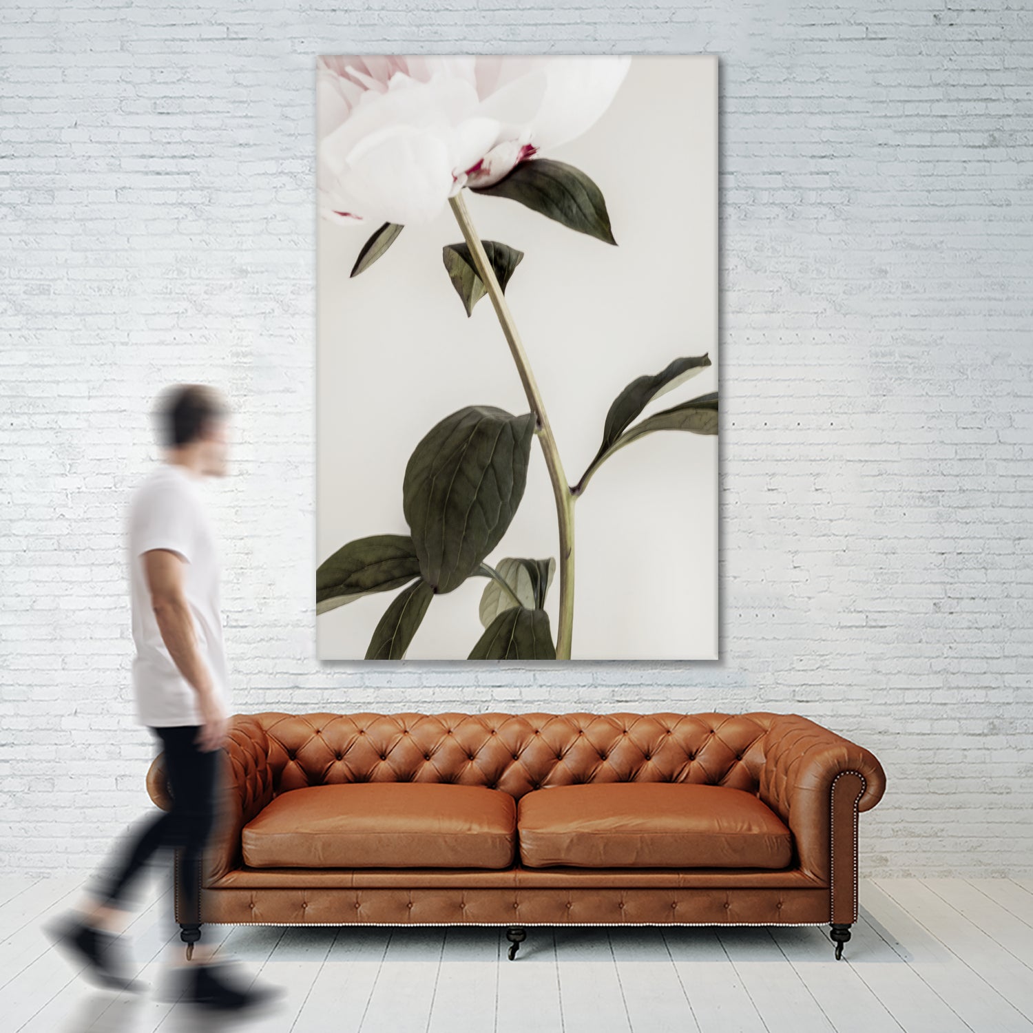 Peony 09 by Pictufy on GIANT ART - still life flower