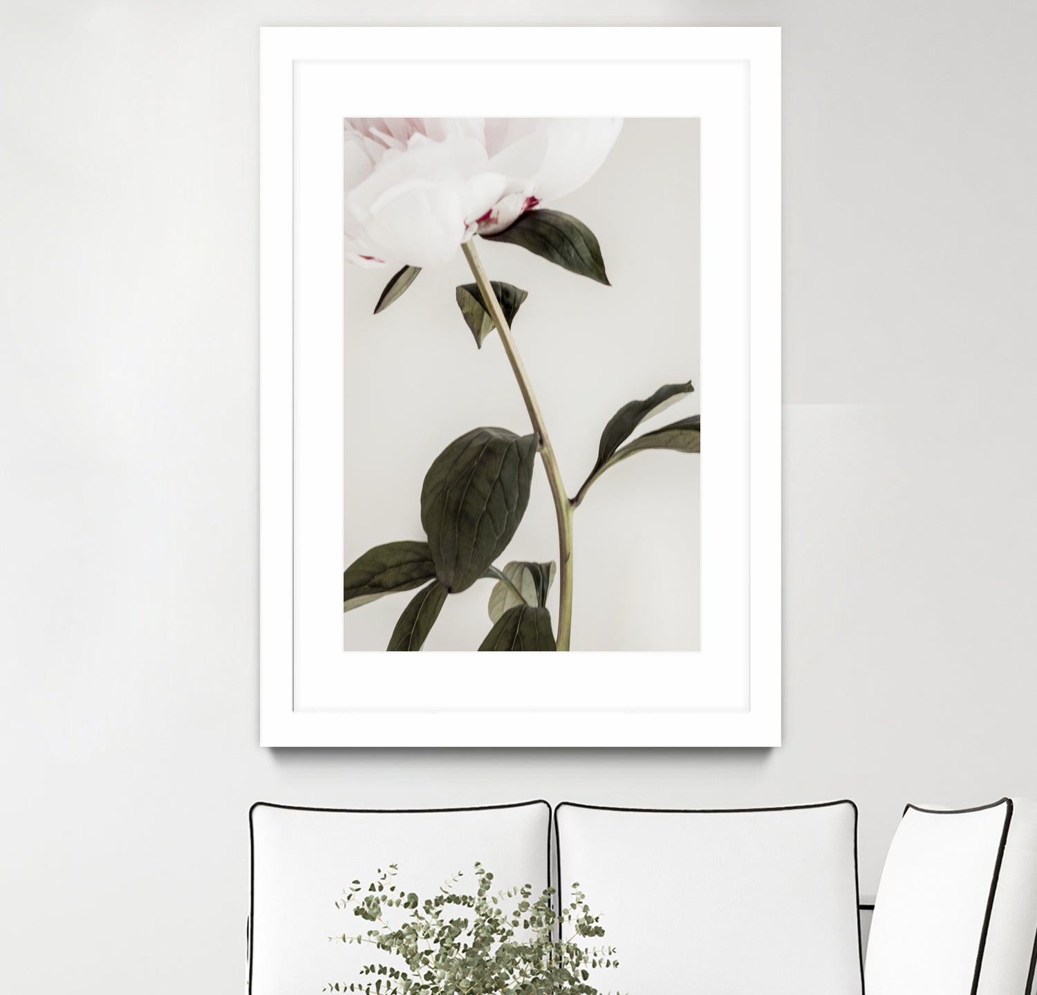 Peony 09 by Pictufy on GIANT ART - still life flower