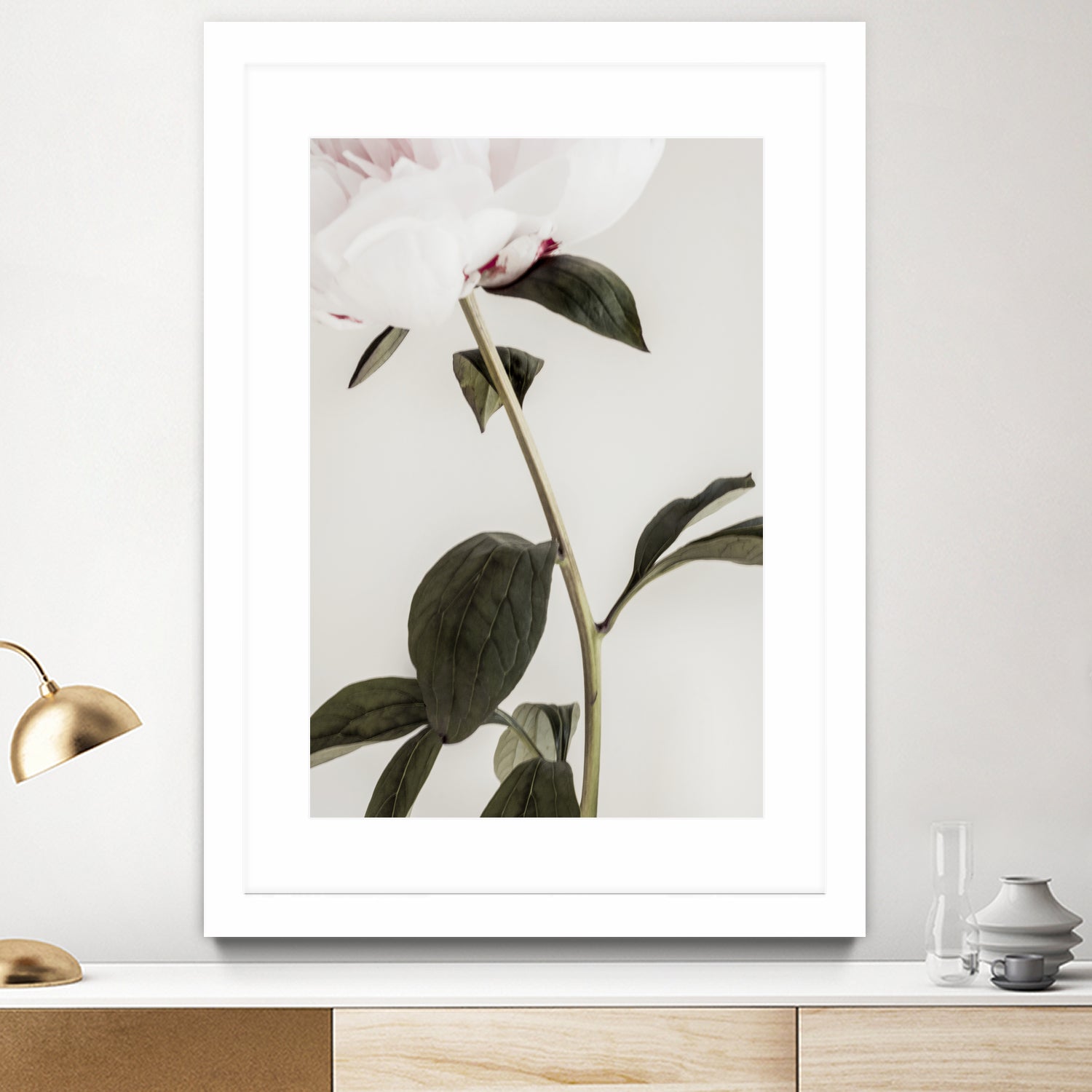 Peony 09 by Pictufy on GIANT ART - still life flower