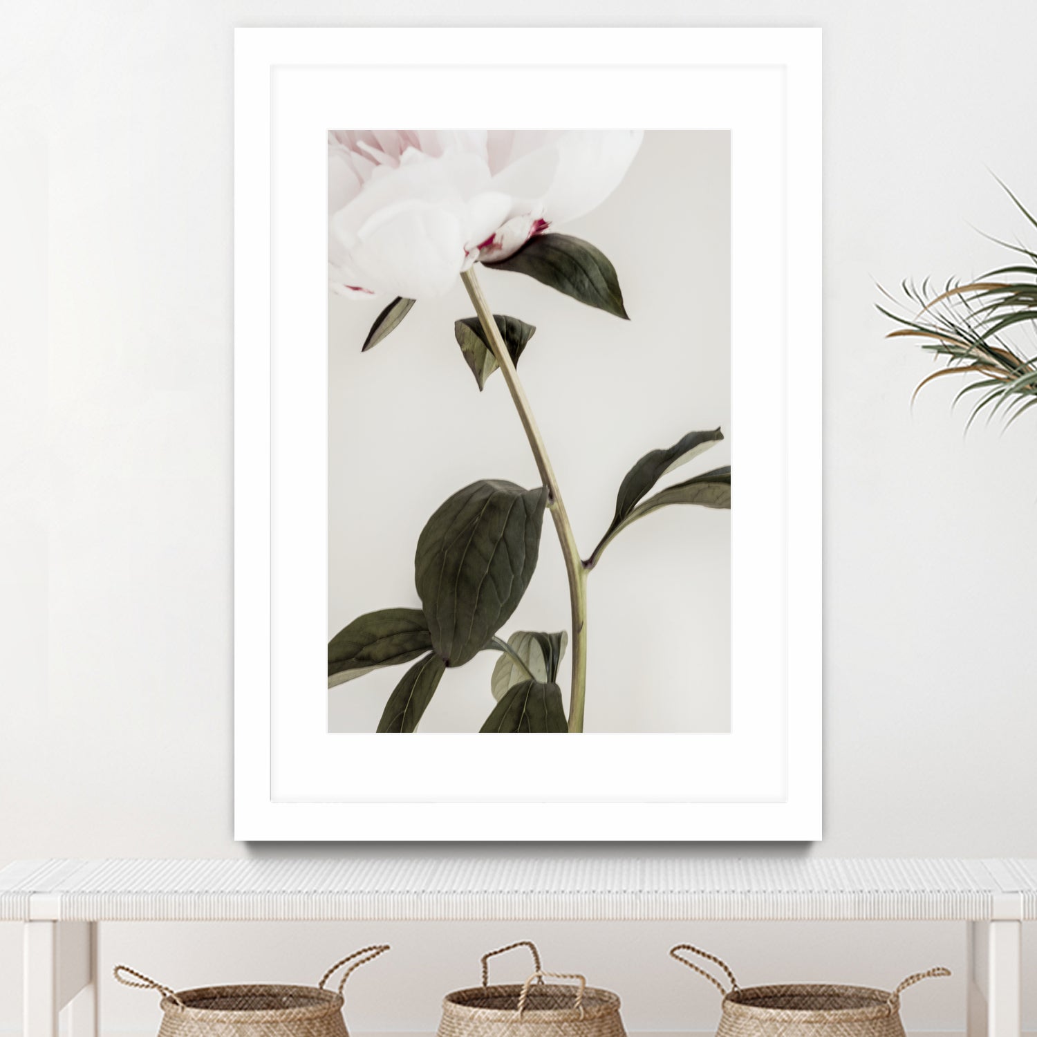 Peony 09 by Pictufy on GIANT ART - still life flower