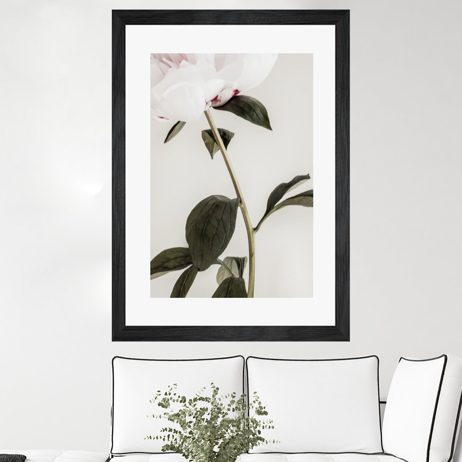 Peony 09 by Pictufy on GIANT ART - still life flower