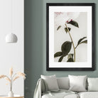 Peony 09 by Pictufy on GIANT ART - still life flower