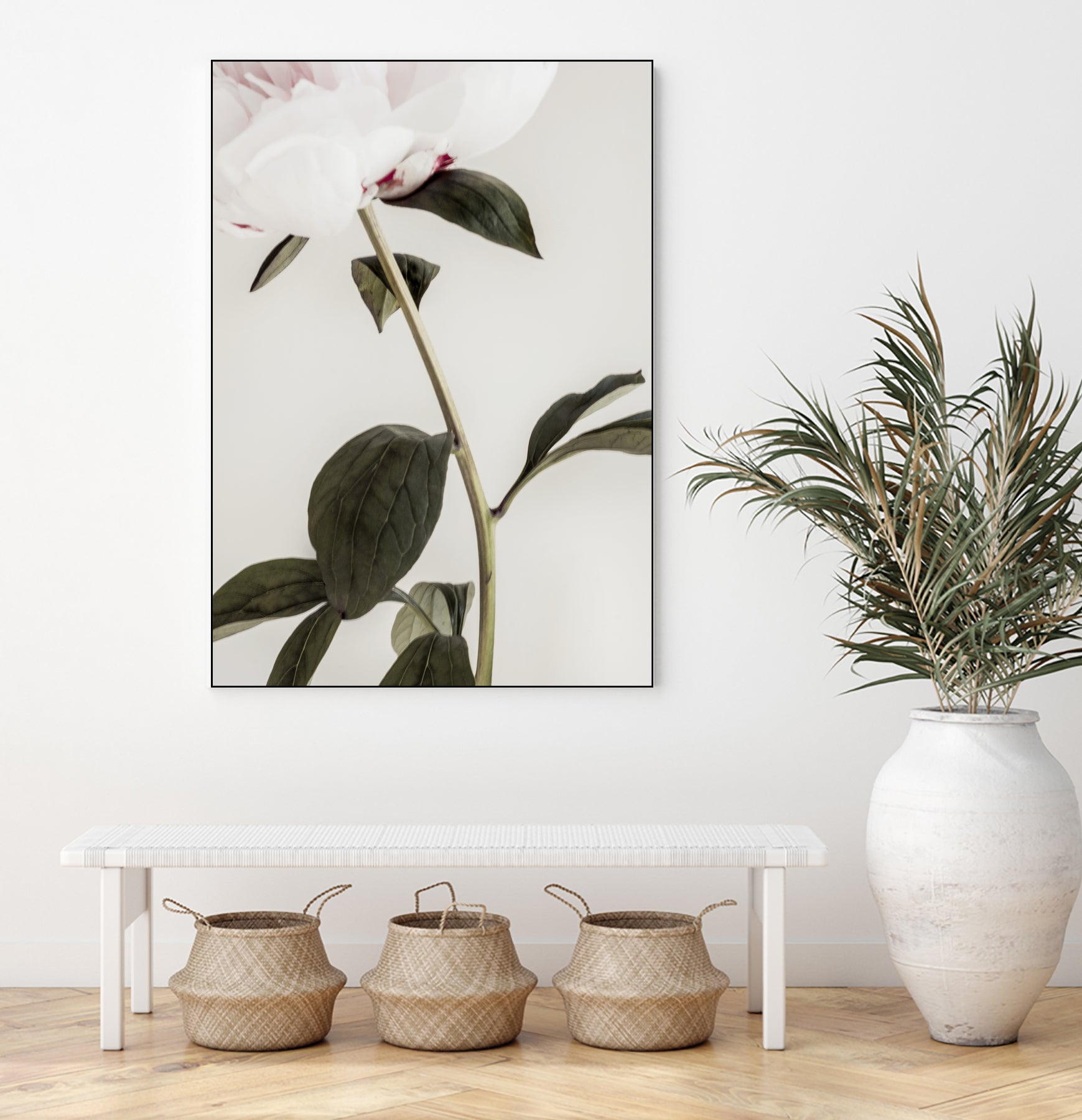 Peony 09 by Pictufy on GIANT ART - still life flower