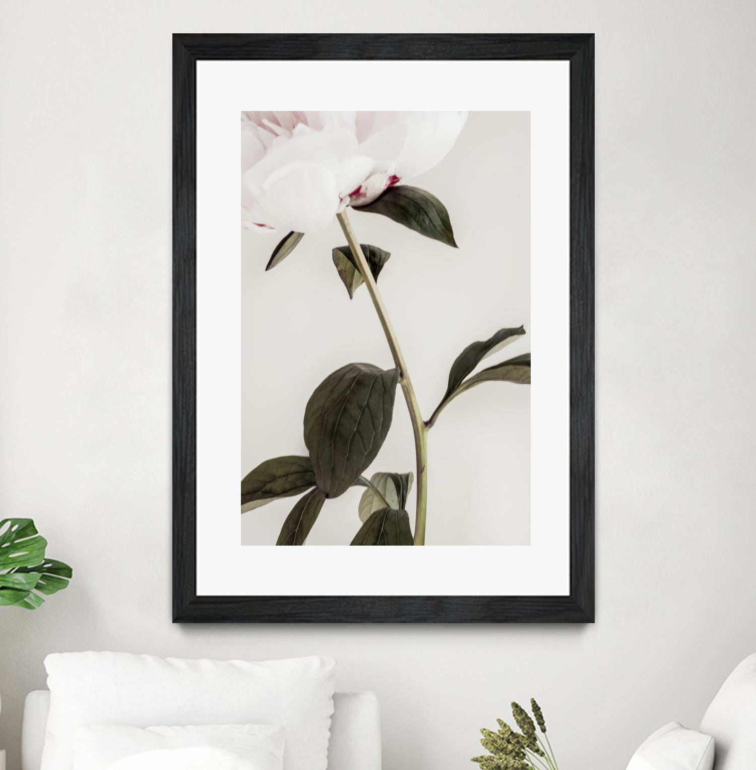 Peony 09 by Pictufy on GIANT ART - still life flower