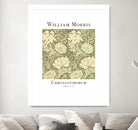 Chrysanthemum by William Morris on GIANT ART - typography flowers and plants typography