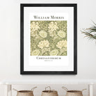 Chrysanthemum by William Morris on GIANT ART - typography flowers and plants typography