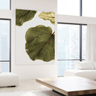 Abutifolia No2 by Shot on GIANT ART - photography still life