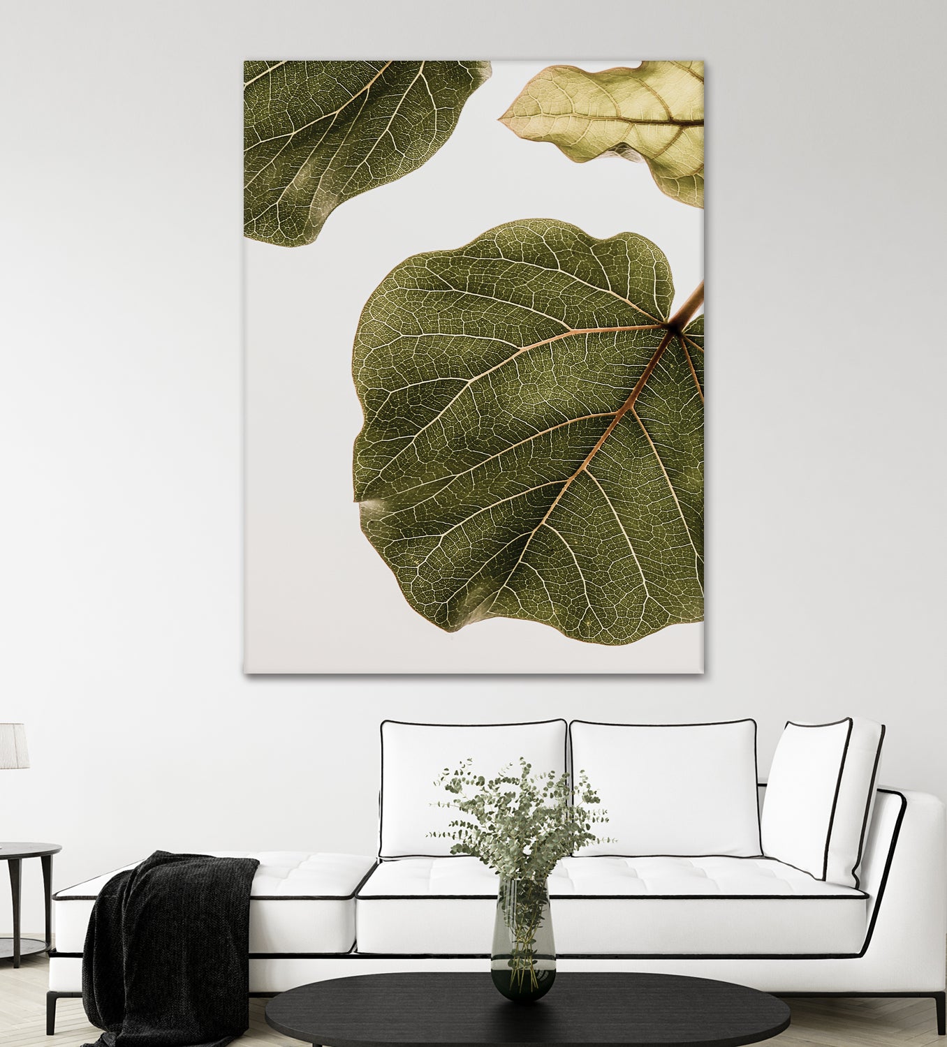 Abutifolia No2 by Shot on GIANT ART - photography still life