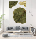 Abutifolia No2 by Shot on GIANT ART - photography still life