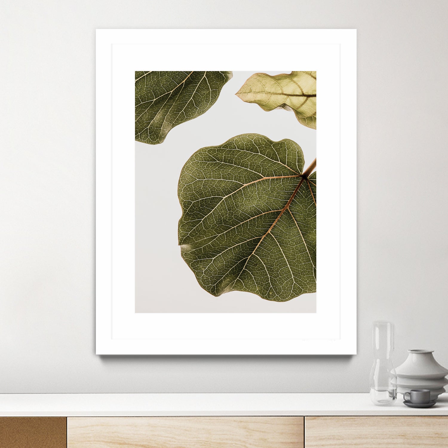 Abutifolia No2 by Shot on GIANT ART - photography still life