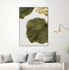 Abutifolia No2 by Shot on GIANT ART - photography still life