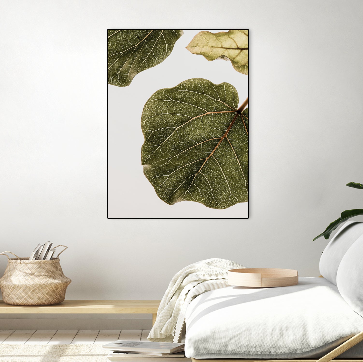 Abutifolia No2 by Shot on GIANT ART - photography still life