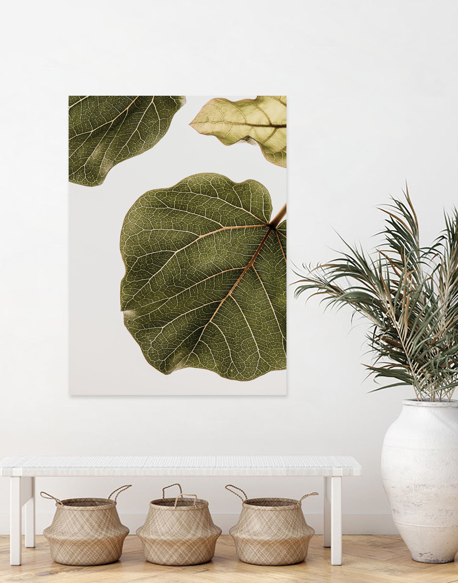 Abutifolia No2 by Shot on GIANT ART - photography still life