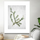 This Minimalist Artwork by Shot by Clint on GIANT ART - landscape botanical art