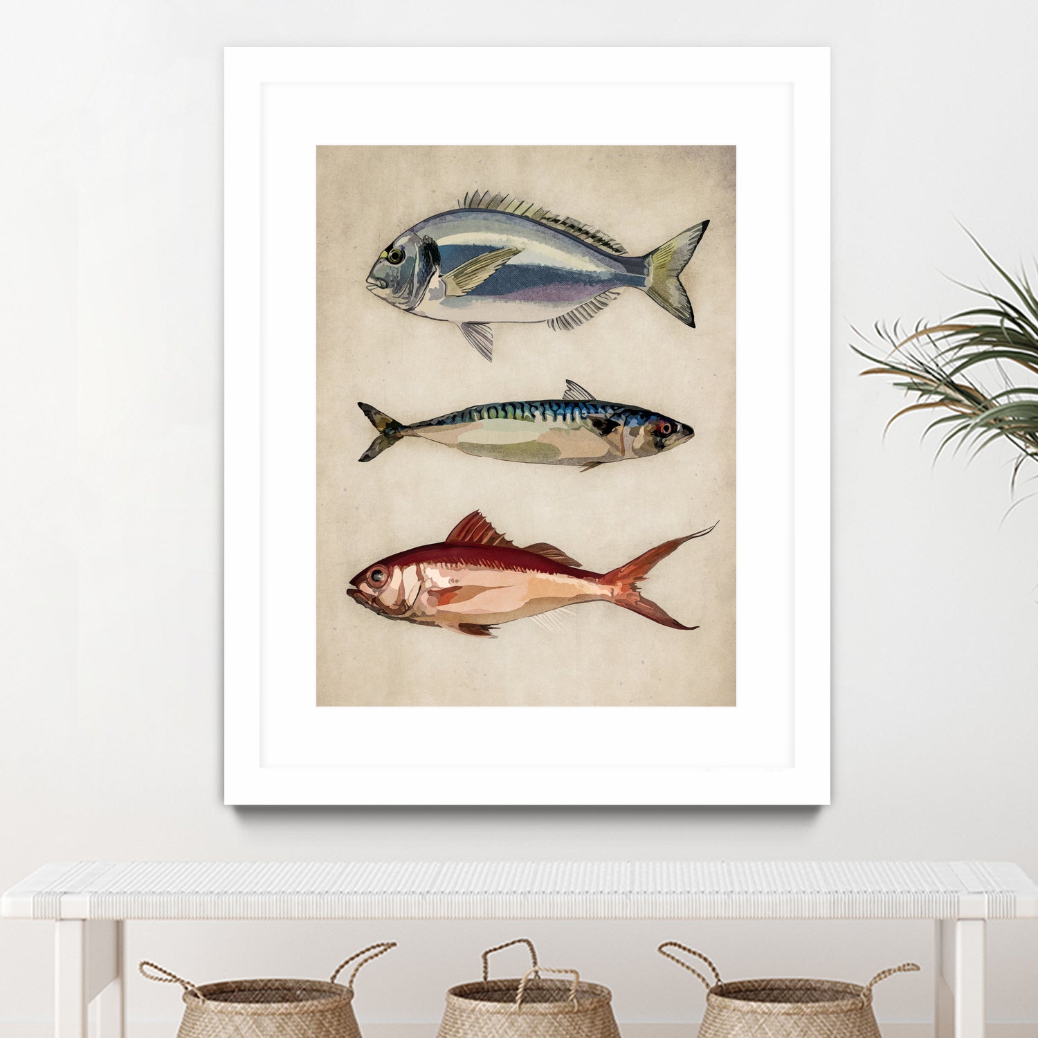 Trio of Ocean Life by Emel Tunaboylu on GIANT ART - animals vintage fish illustration