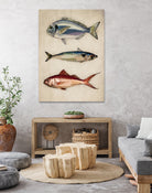 Trio of Ocean Life by Emel Tunaboylu on GIANT ART - animals vintage fish illustration
