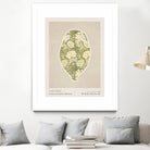 Wm Greek 10ratio 4x5 Print By Bohonewart by Emel Tunaboylu on GIANT ART - shape flowers and plants shape