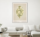 Wm Greek 10ratio 4x5 Print By Bohonewart by Emel Tunaboylu on GIANT ART - shape flowers and plants shape