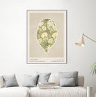 Wm Greek 10ratio 4x5 Print By Bohonewart by Emel Tunaboylu on GIANT ART - shape flowers and plants shape