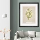 Wm Greek 10ratio 4x5 Print By Bohonewart by Emel Tunaboylu on GIANT ART - shape flowers and plants shape