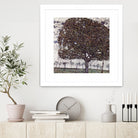 Der Apfelbaum (1916) by Gustav Klimt on GIANT ART - 5906 illustration