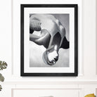 2629069 by Sarah on GIANT ART - illustration sarah morrissette