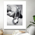 2629069 by Sarah on GIANT ART - illustration sarah morrissette