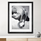 2629069 by Sarah on GIANT ART - illustration sarah morrissette