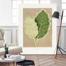 Green Solanum Marginatum Leaf Illustration by Les Plantes a on GIANT ART - flowers and plants vintage botanical