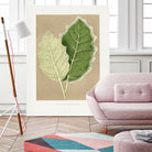 Green Solanum Marginatum Leaf Illustration by Les Plantes a on GIANT ART - flowers and plants vintage botanical