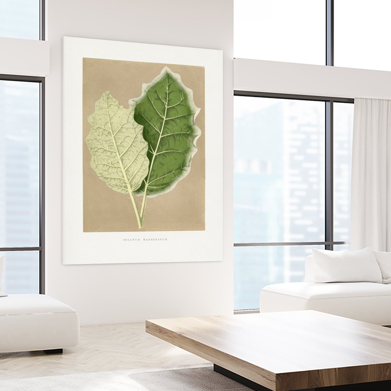 Green Solanum Marginatum Leaf Illustration by Les Plantes a on GIANT ART - flowers and plants vintage botanical