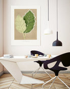 Green Solanum Marginatum Leaf Illustration by Les Plantes a on GIANT ART - flowers and plants vintage botanical