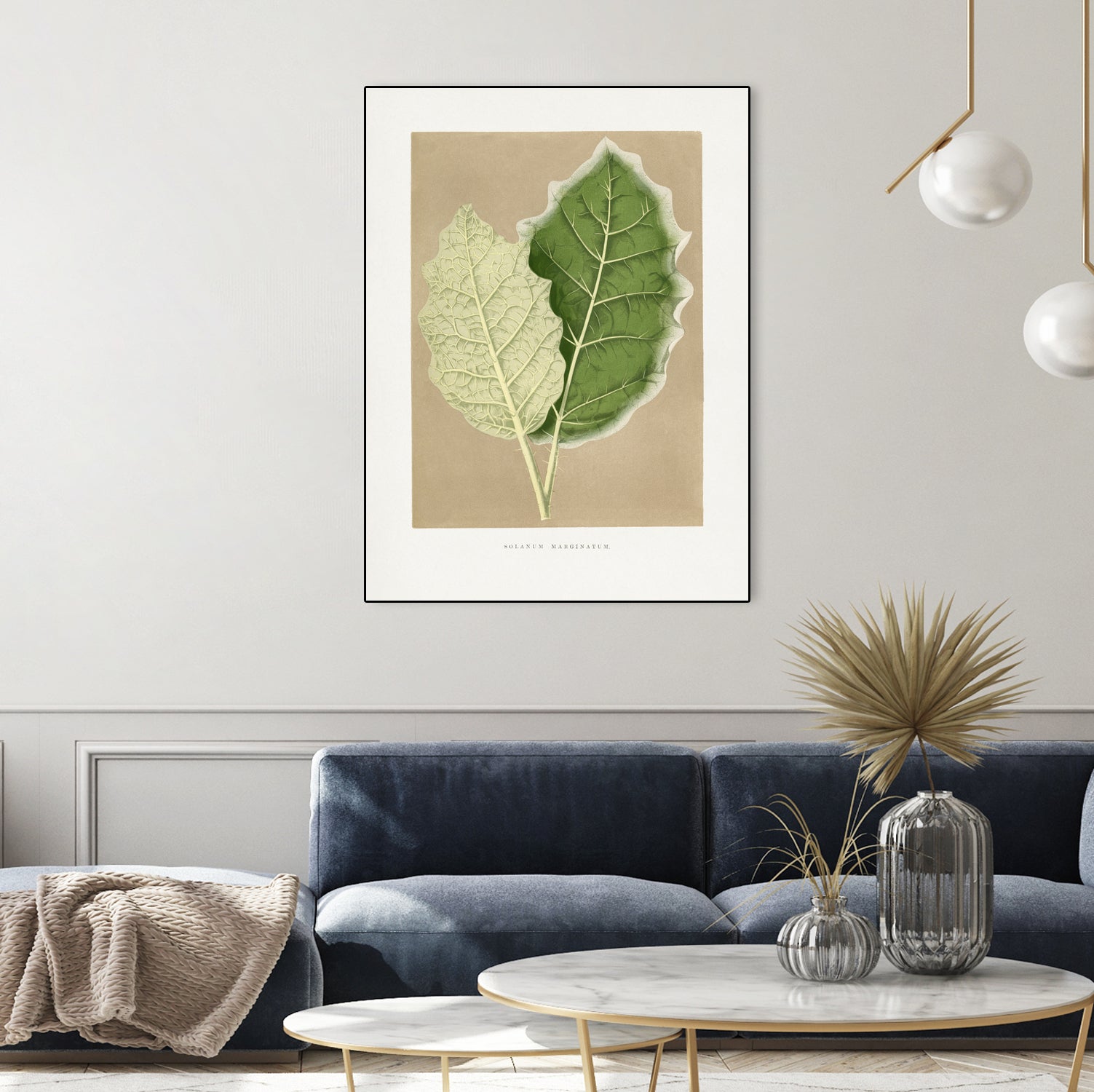 Green Solanum Marginatum Leaf Illustration by Les Plantes a on GIANT ART - flowers and plants vintage botanical