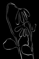 Flower and Leaves Sketch by Martina on GIANT ART - flowers and plants monochrome art