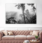 Trees in misty forest by Photolovers on GIANT ART - photograhy forest