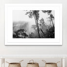 Trees in misty forest by Photolovers on GIANT ART - photograhy forest