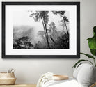 Trees in misty forest by Photolovers on GIANT ART - photograhy forest