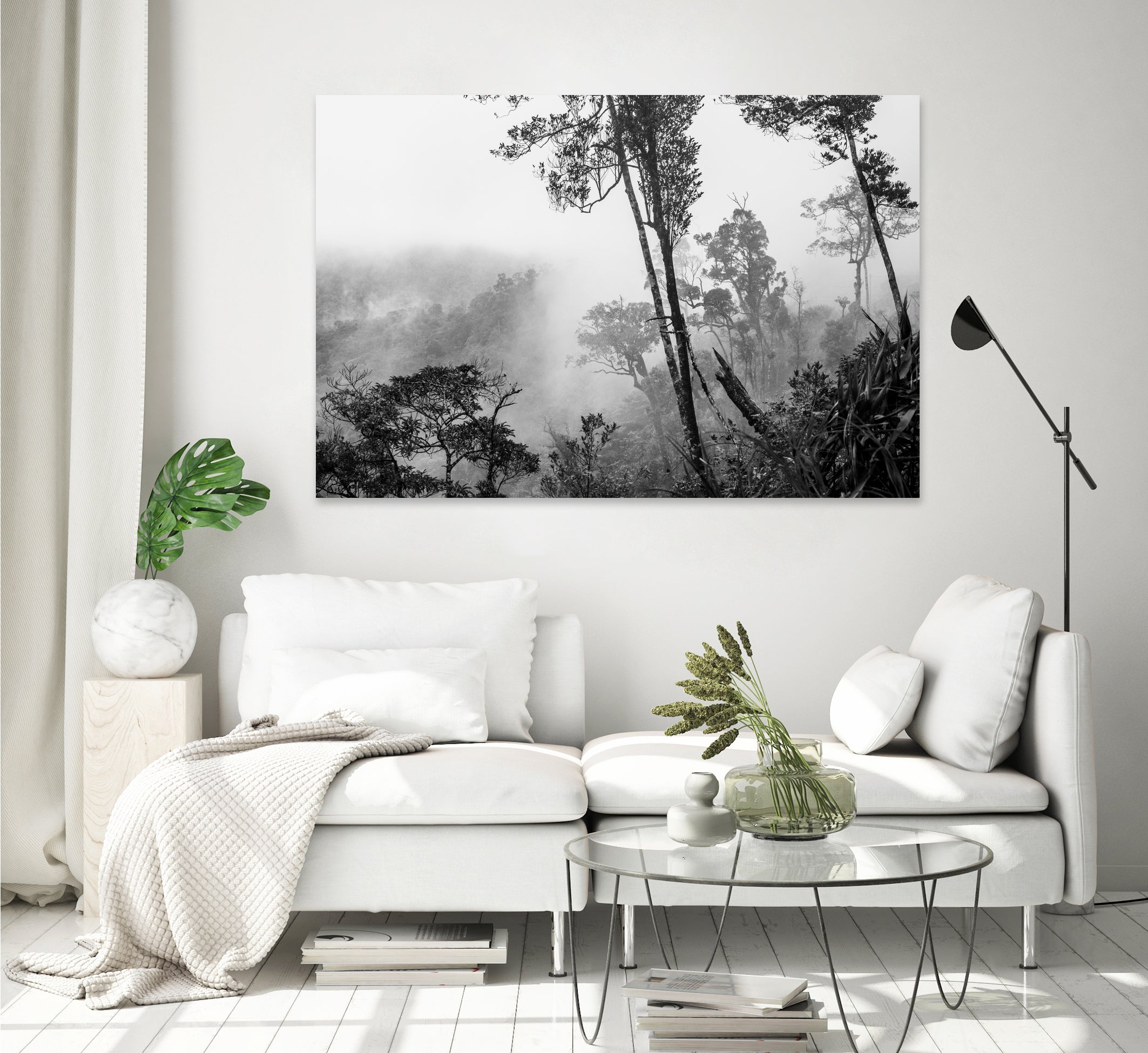 Trees in misty forest by Photolovers on GIANT ART - photograhy forest