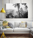 Trees in misty forest by Photolovers on GIANT ART - photograhy forest