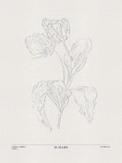 In Tulips (blue) by Gabriella Roberg on GIANT ART - line art gabriella roberg