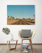 Joshua Tree Road by Bethany Young on GIANT ART - landscape usa