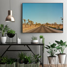 Joshua Tree Road by Bethany Young on GIANT ART - landscape usa