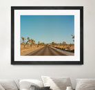 Joshua Tree Road by Bethany Young on GIANT ART - landscape usa