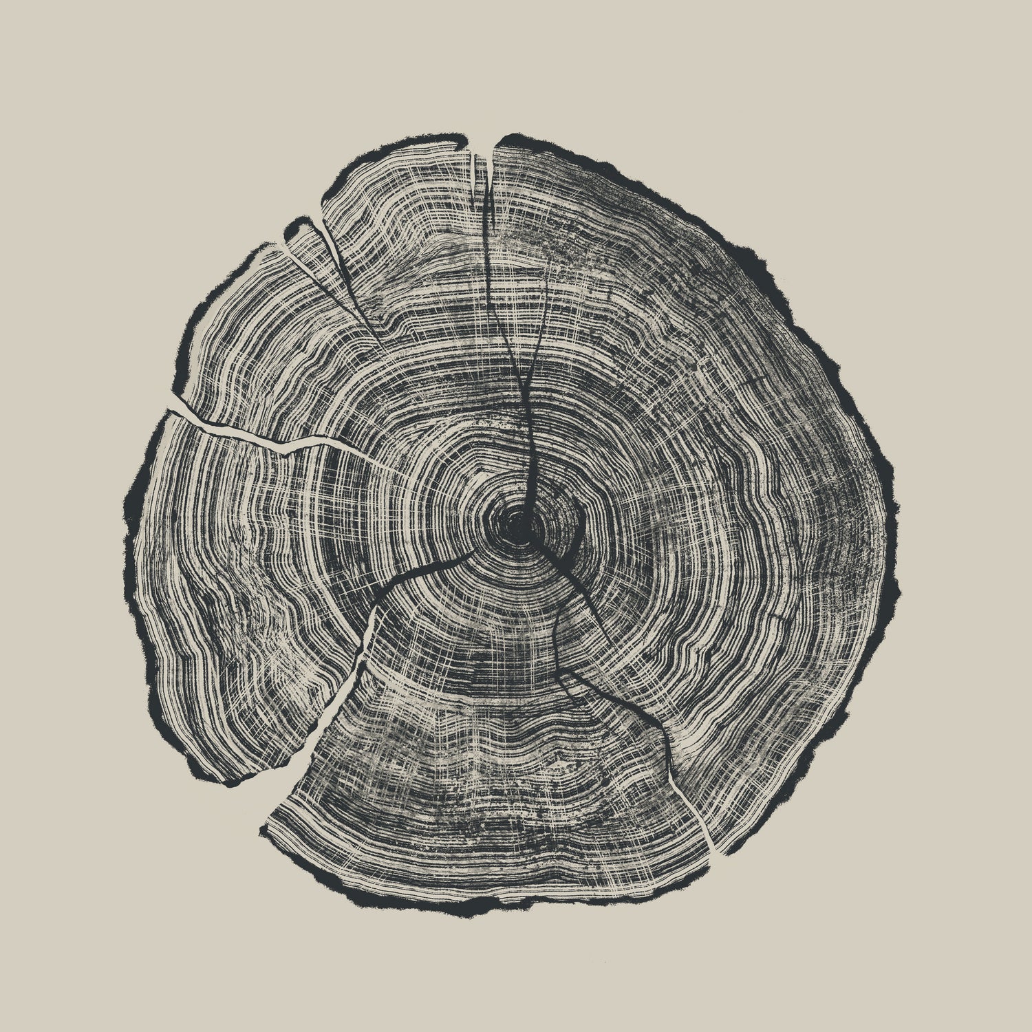 Hand Drawn Oak by Dan on GIANT ART - illustration dan hobday