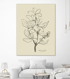 Floral 1 by Dan Hobday on GIANT ART - flowers and plants sketch